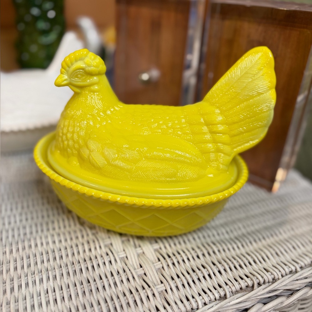 Yellow Mosser Hen on Nest